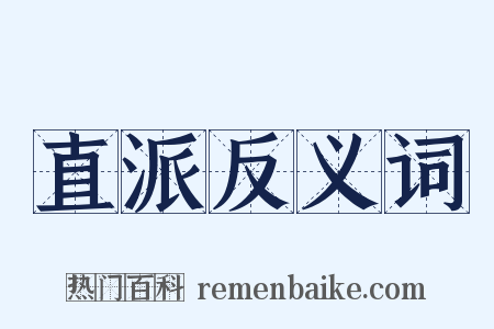 直派反义词是什么意思的图片